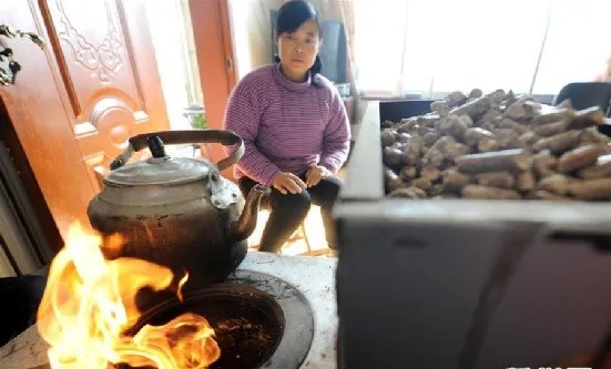 要推進生物質清潔取暖