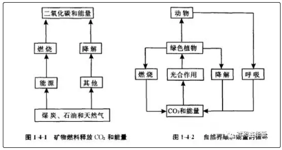鑫華新：生物質專用爐具助力“碳中和”2