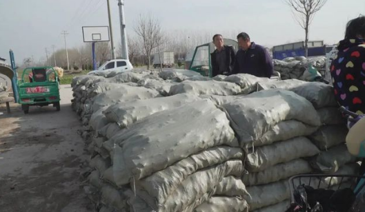 村民們正排隊領取今年冬季取暖的生物質(zhì)燃料