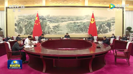 加快發展有規模有效益的生物質能等新能源