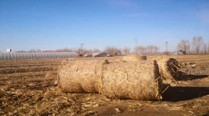 《黑龍江日報》報道利民鍋爐：供熱成本降半 ，秸稈過爐增值3