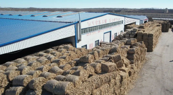 記者實地探訪！燒秸稈的鍋爐是怎樣給鄉鎮居民供暖的？