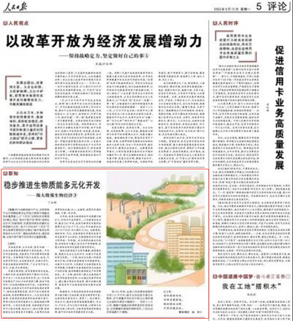 穩步推進生物質能多元化開發