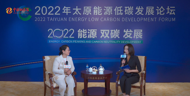 樊荀竹：“讓鍋爐像機器人一樣為新能源服務” 