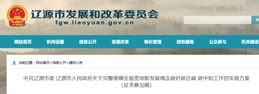 做好碳達峰碳中和工作的實施方案