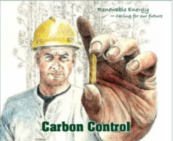 在《國際生物能源》第32期上刊登了一則廣告