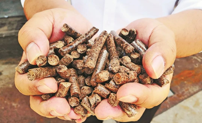 生物質能分布式利用發展路線圖