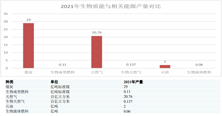 “雙碳”背景下生物質能發展戰略反思與改變5