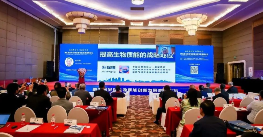 杜祥琬院士：提高生物質能戰略地位勢在必行