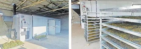 案例四   河南西峽農產品加工領域生物質烘烤案例