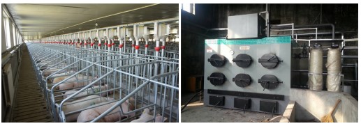 養殖供暖風向：中小戶燃煤市場還好，大戶生物質和熱泵市場向好