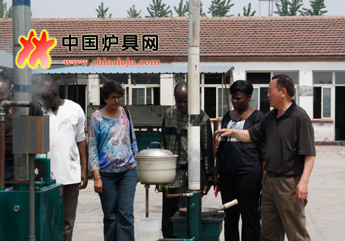 考察宰相生物質(zhì)炊事?tīng)t